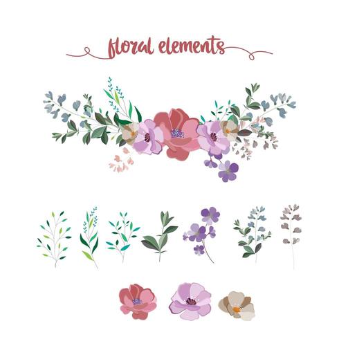 colección de elementos florales vector