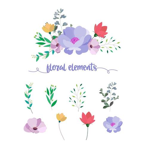 Floral elements collection vector