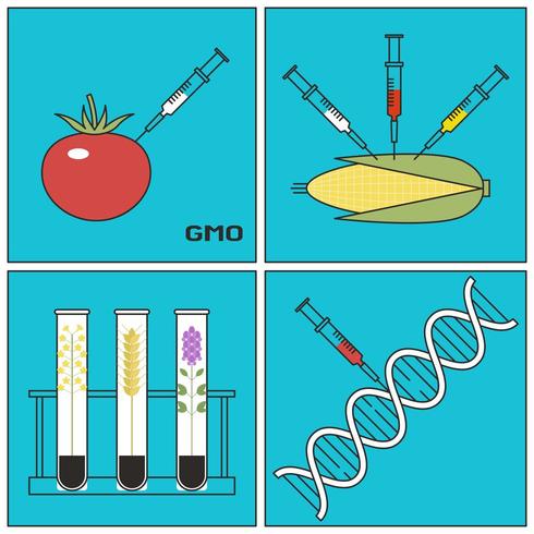 Research Concept of Genetically Modified Plants GMO vector