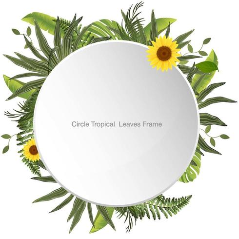 Circle Tropical Leaves and Flowers Frame vector