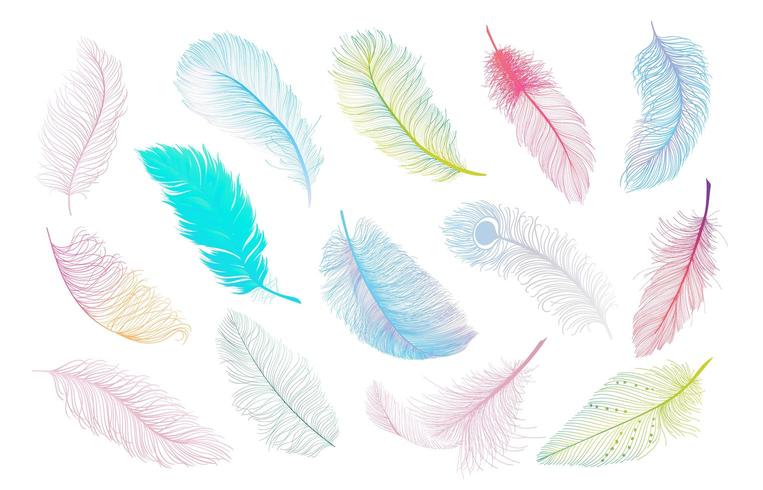 Colección de plumas de colores vector