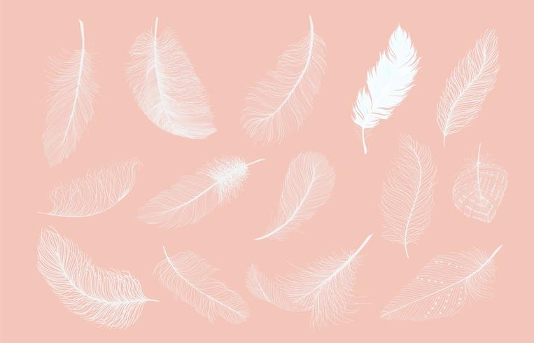 Conjunto de plumas blancas vector