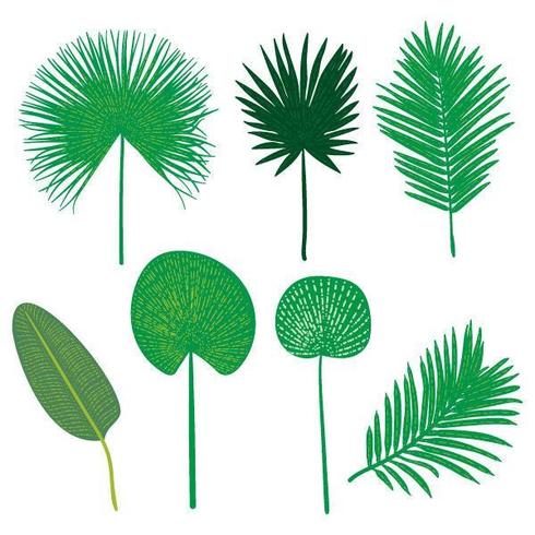 Vector hand drawn flat tropical leaves set