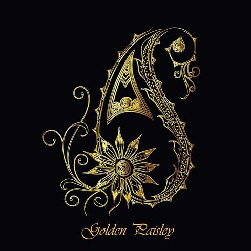 Elegant Gold  Ornamental Paisley Design vector