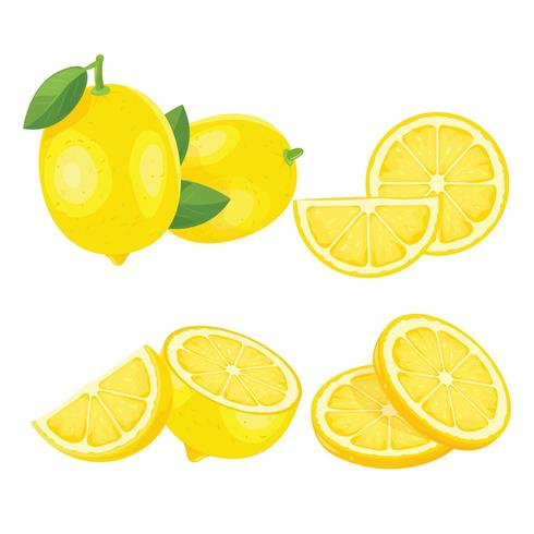 Conjunto de limones amarillos vector