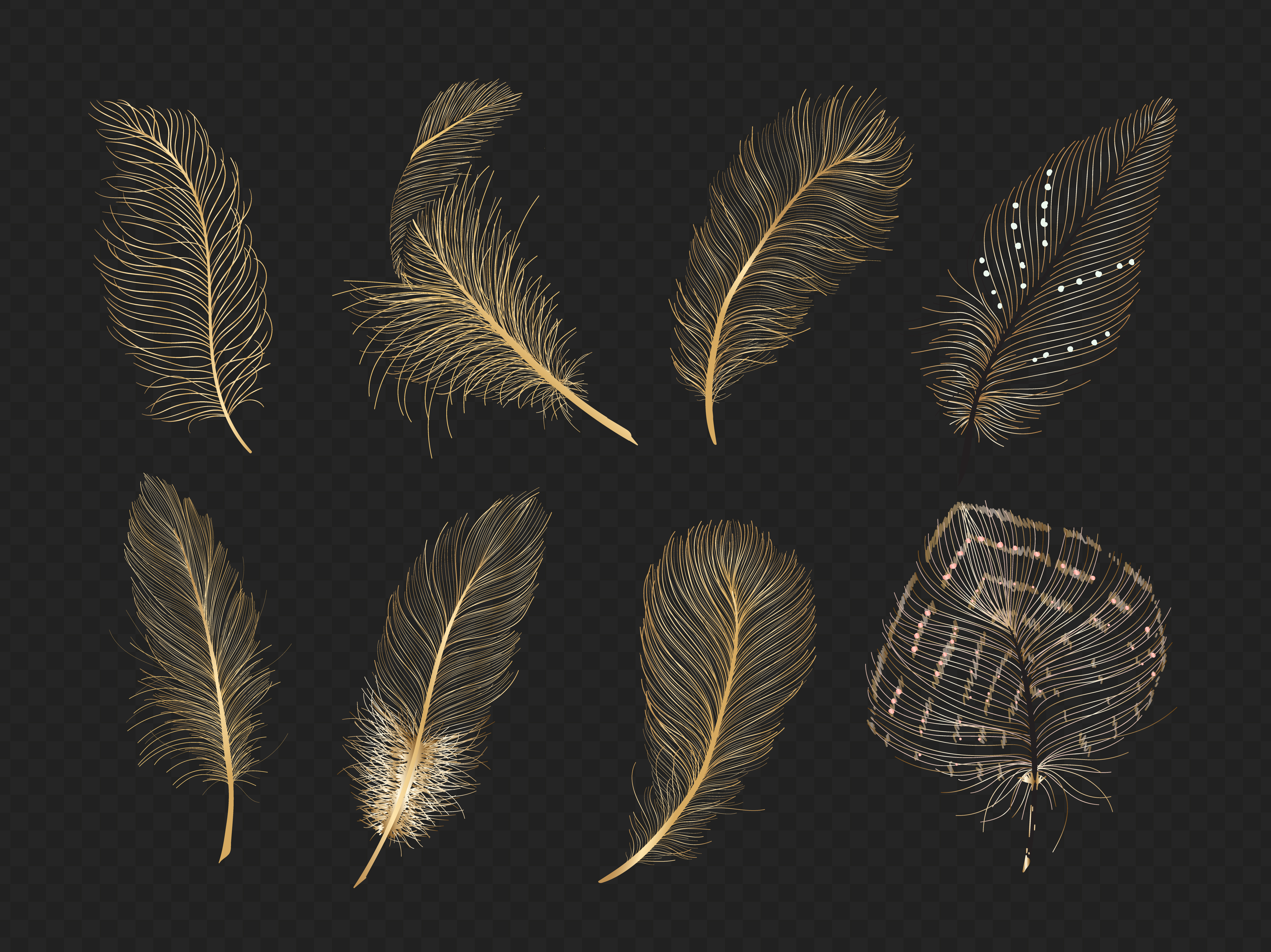 Gold feathers vector collection - Download Free Vectors, Clipart