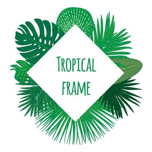 Hand drawn tropical frame vector