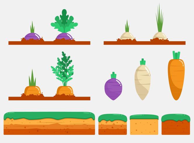 Garden vegetables set vector