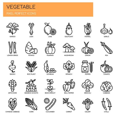 Set of Black and White Thin Line Vegetable Icons  vector