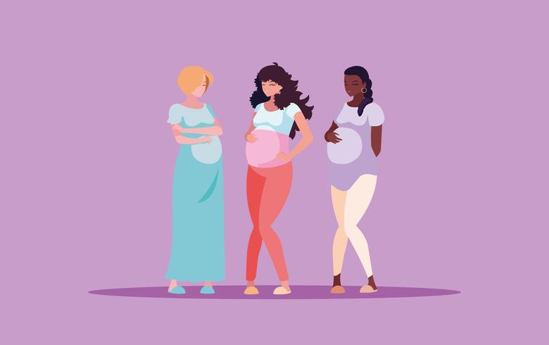 pregnant group of women  vector