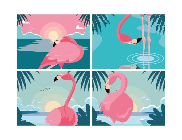 set of beautiful flamingos birds flock  vector