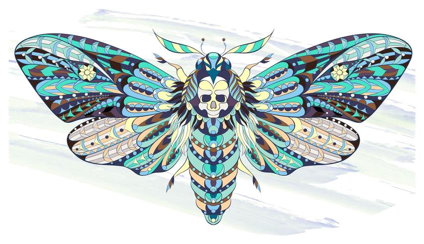 Patterned butterfly or moth on grunge background vector