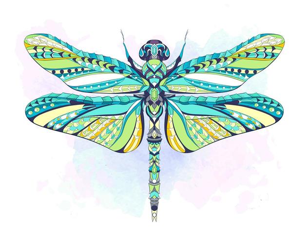 Colorful patterned dragonfly on grunge background vector