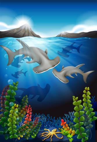 Sharks swimming under water seascape  vector