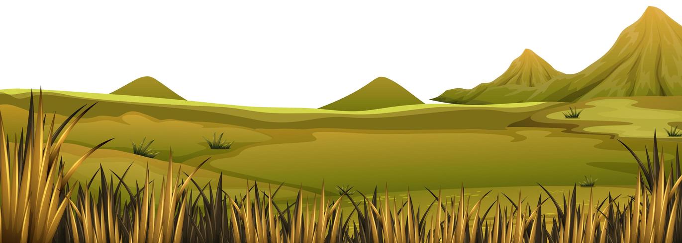 Paisaje natural de hierba vector