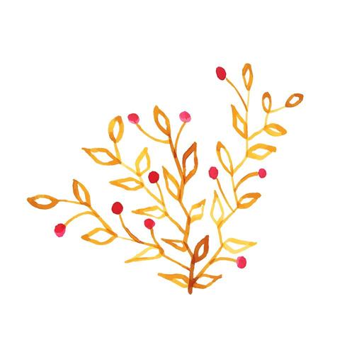 Hand Drawn Watercolor Leaf  vector