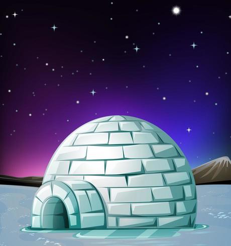 Scene with igloo at night vector