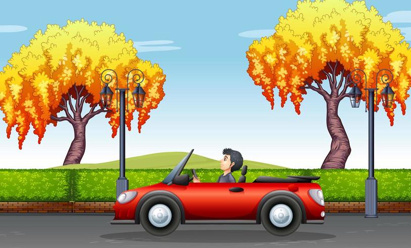 Man driving convertible car in the park vector