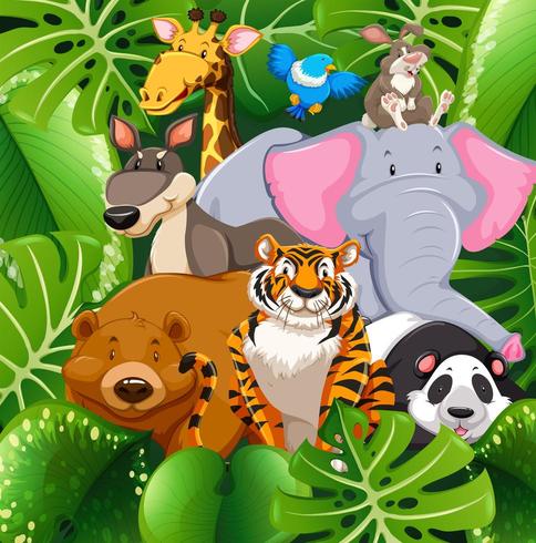 Wild animals in the bush vector