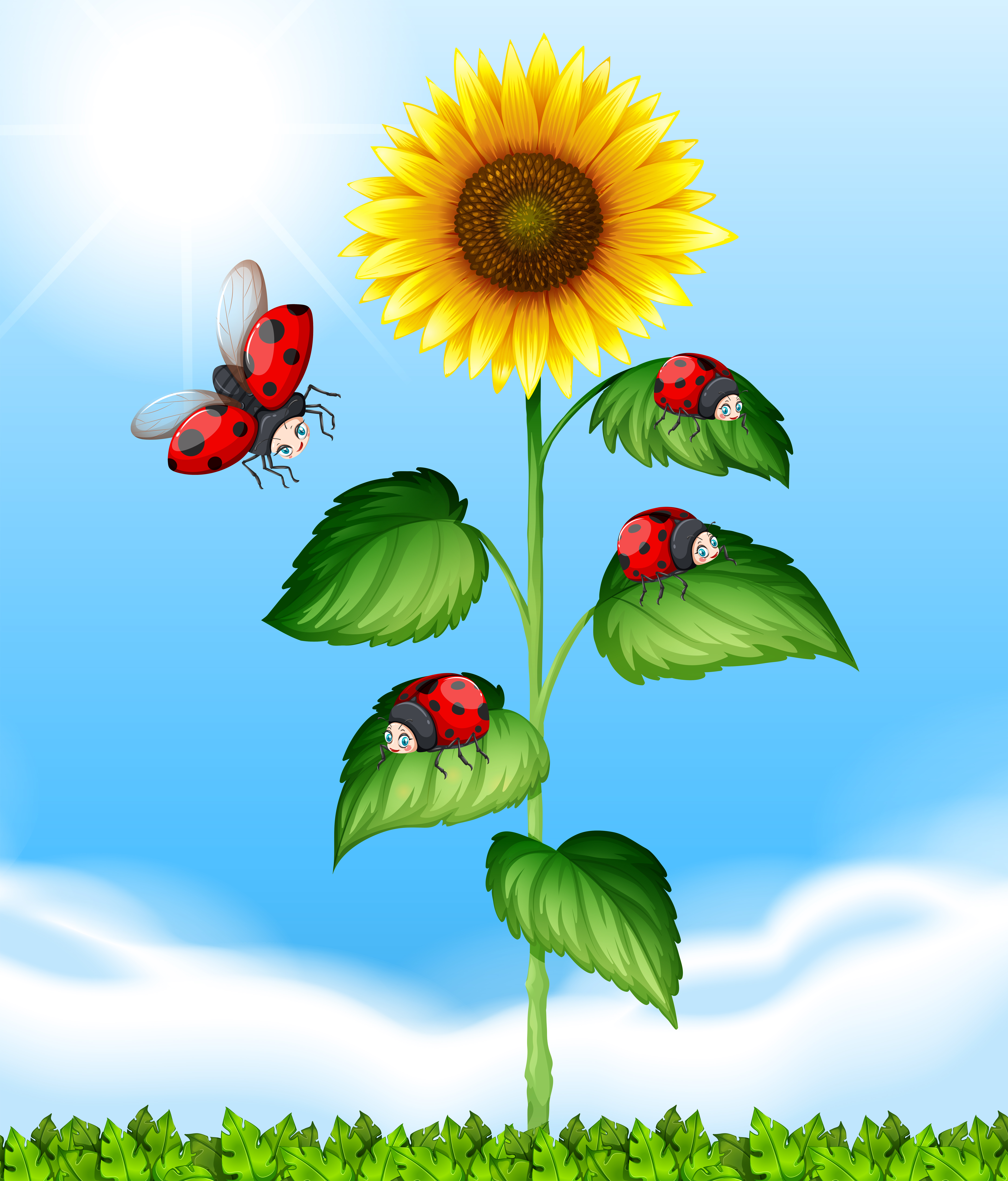 Ladybug Sunflower Theme ‒ Applications sur Google Play