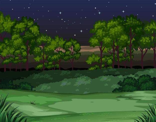 Escena de la naturaleza de los árboles y el campo en la noche vector