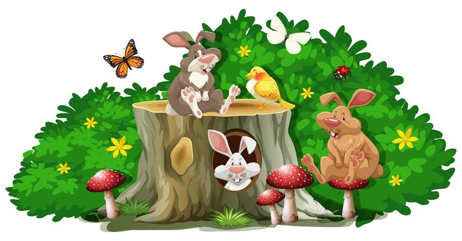 Rabbits and bugs in the garden vector