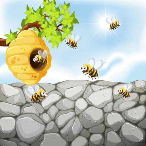 Bees flying around beehive near wall vector