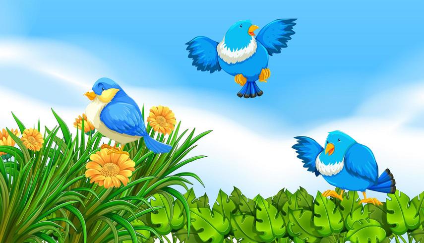 Bluebirds flying in the garden vector