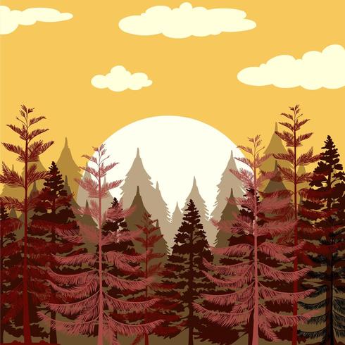 Bosque de pinos al atardecer vector