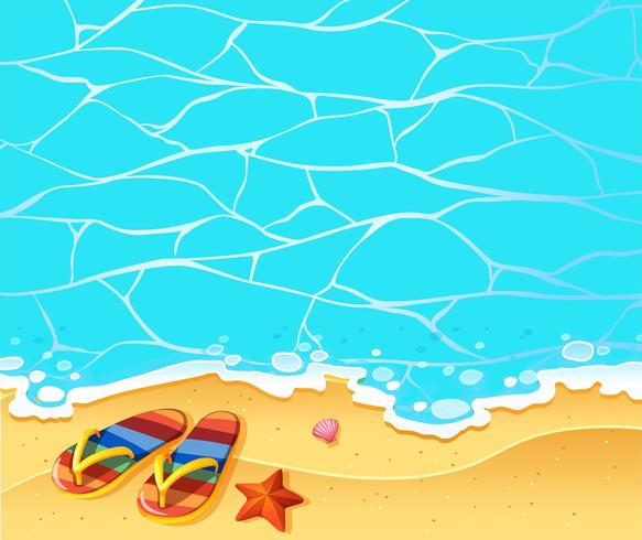 Scene with sandals on the beach vector