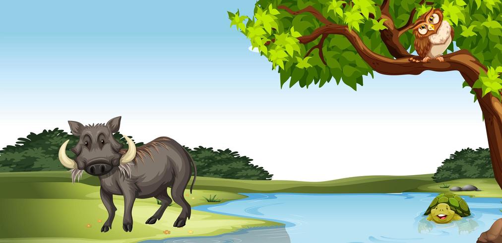 Wild animals by the pond vector