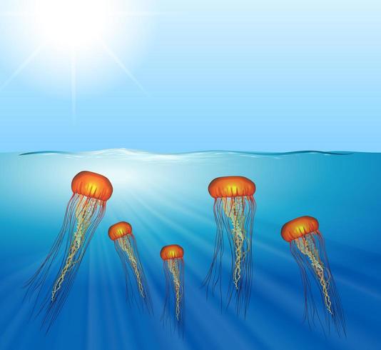 Jellyfish swimming under the sea vector