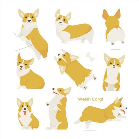 Lindo set de Corgi Galés vector