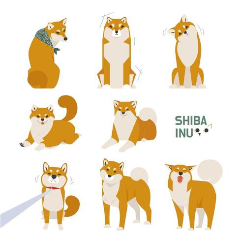 Cute Shiba Inu set vector