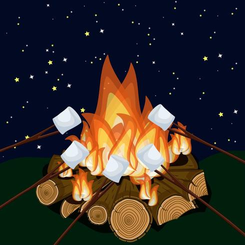 Roasting marshmallow on campfire at night vector