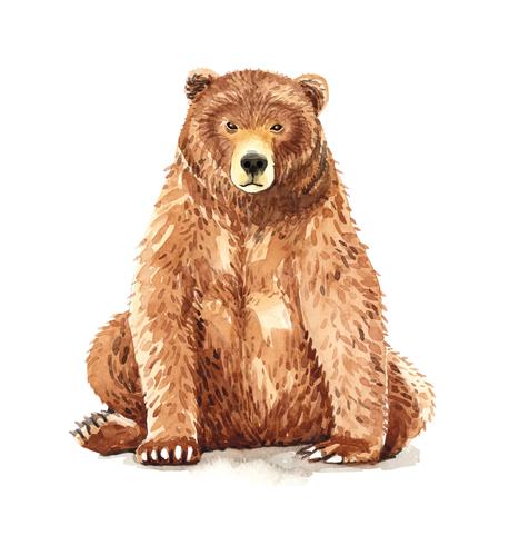 Watercolor portrait of brown bear sitting vector