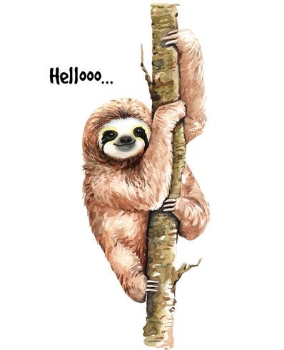 Watercolor sloth on branch vector