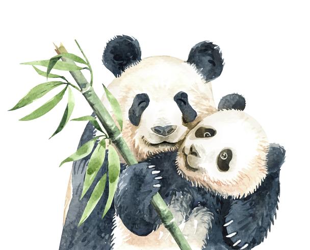 Watercolor Mom and Baby Panda with Bamboo. vector