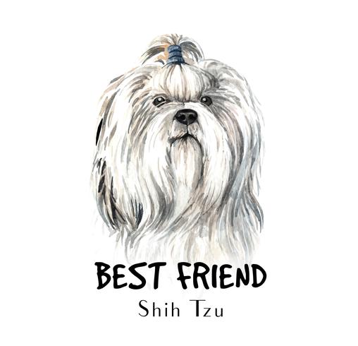 Watercolor hand drawn portrait of Shih Tzu dog vector