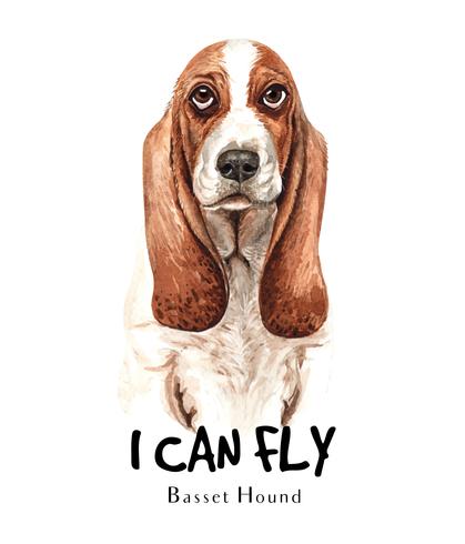 Watercolor hand drawn portrait of Basset Hound dog vector