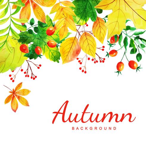 Beautiful Watercolor Autumn Leaves Background vector