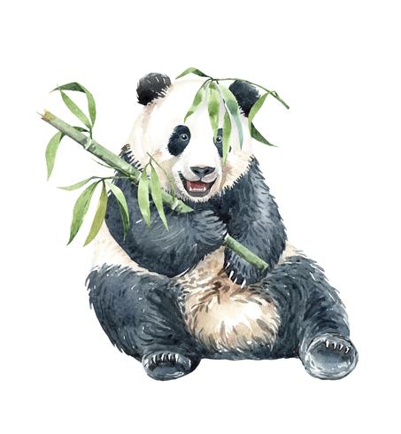 Watercolor Panda with Bamboo vector