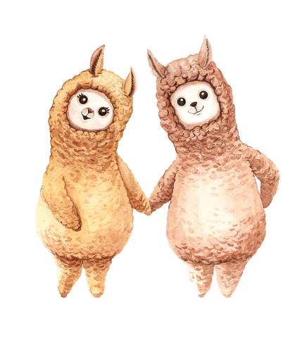 Watercolor of alpaca lama couple holding hands vector