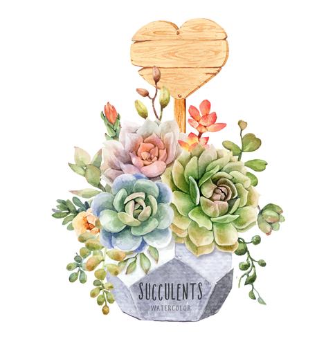 Watercolor of succulents in geometric tree pot with heart shape wood sign. vector