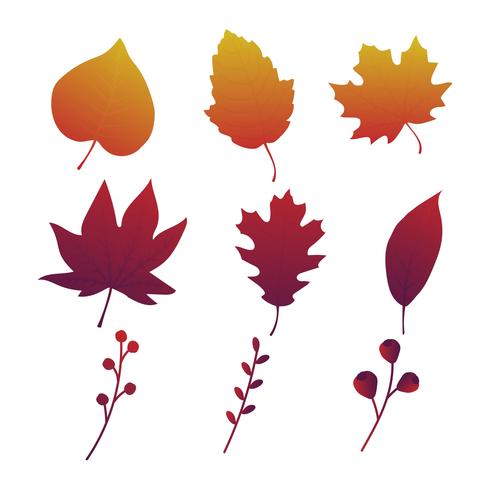 autumn leaves set vector