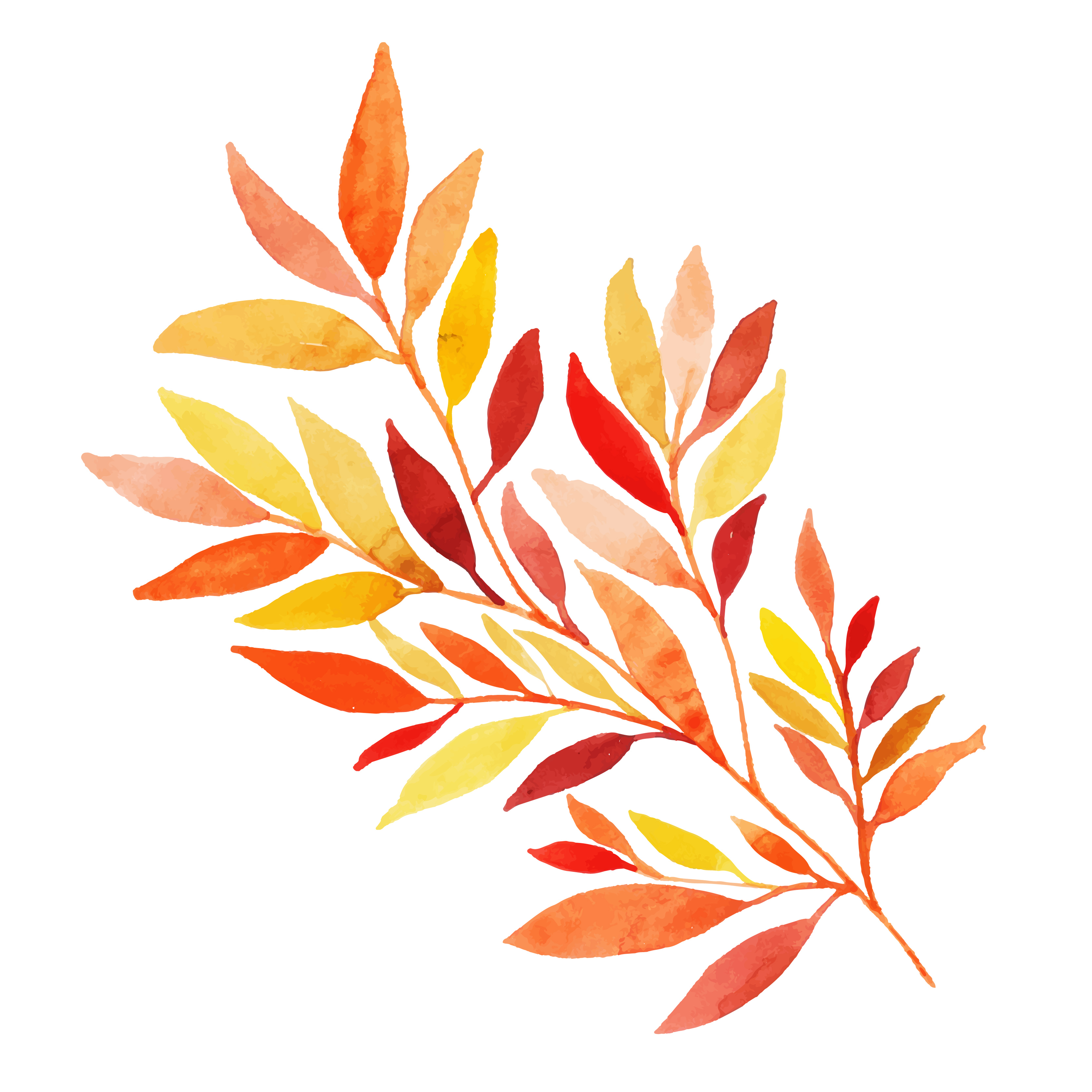 Ветка осенних листьев. Осенняя веточка. Осенние листья акварель. Осенние листочки. Векторные листья.
