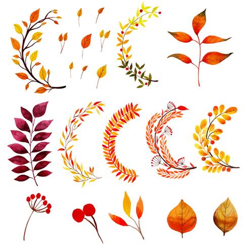 Beautiful Watercolor Autumn Leaves Collection vector