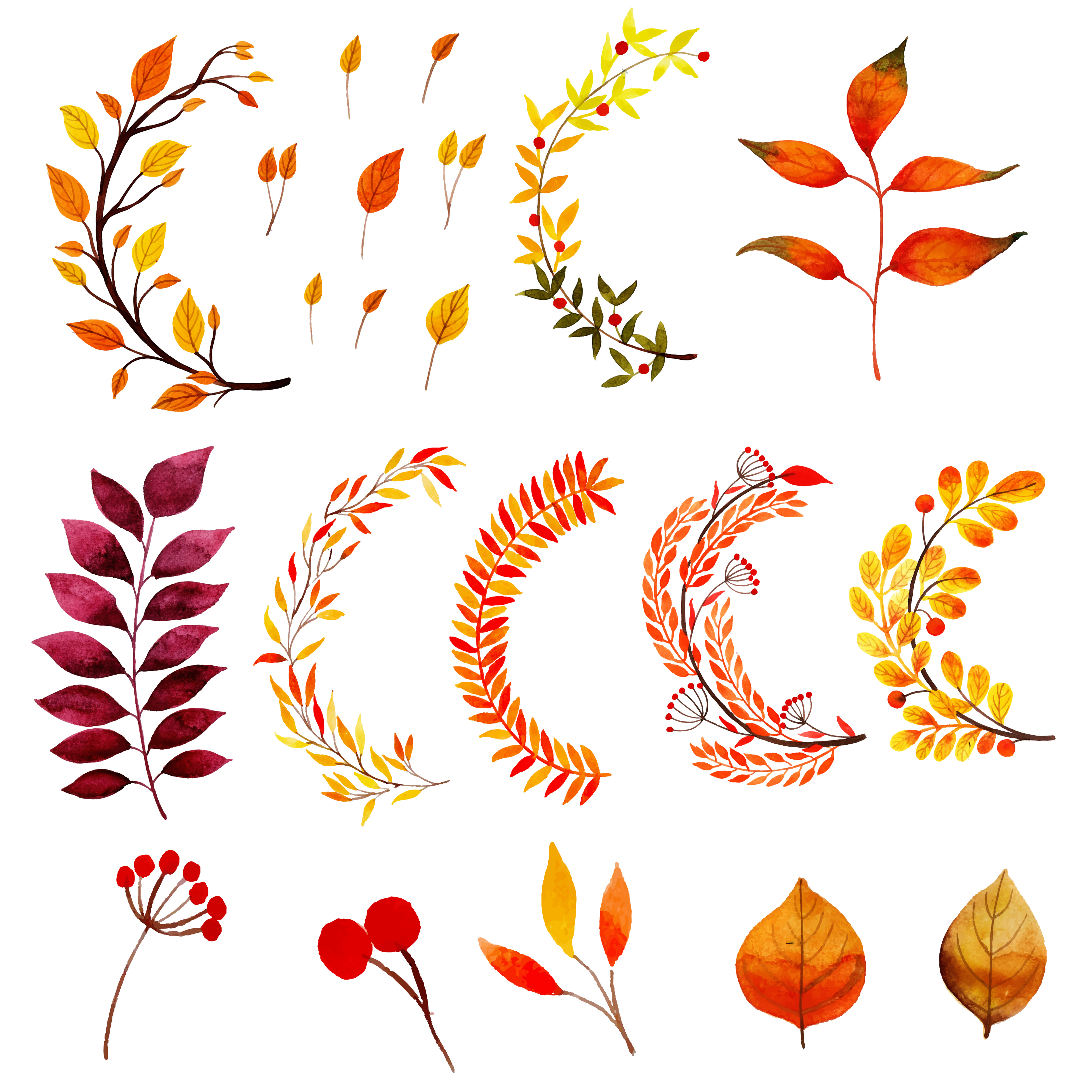 Beautiful Watercolor Autumn Leaves Collection 670024