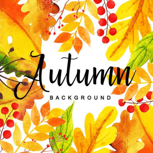 Beautiful Watercolor Autumn Leaves Background vector