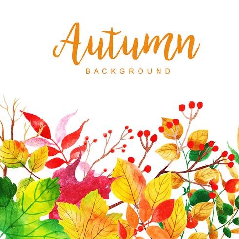 Beautiful Watercolor Autumn Leaves Background vector